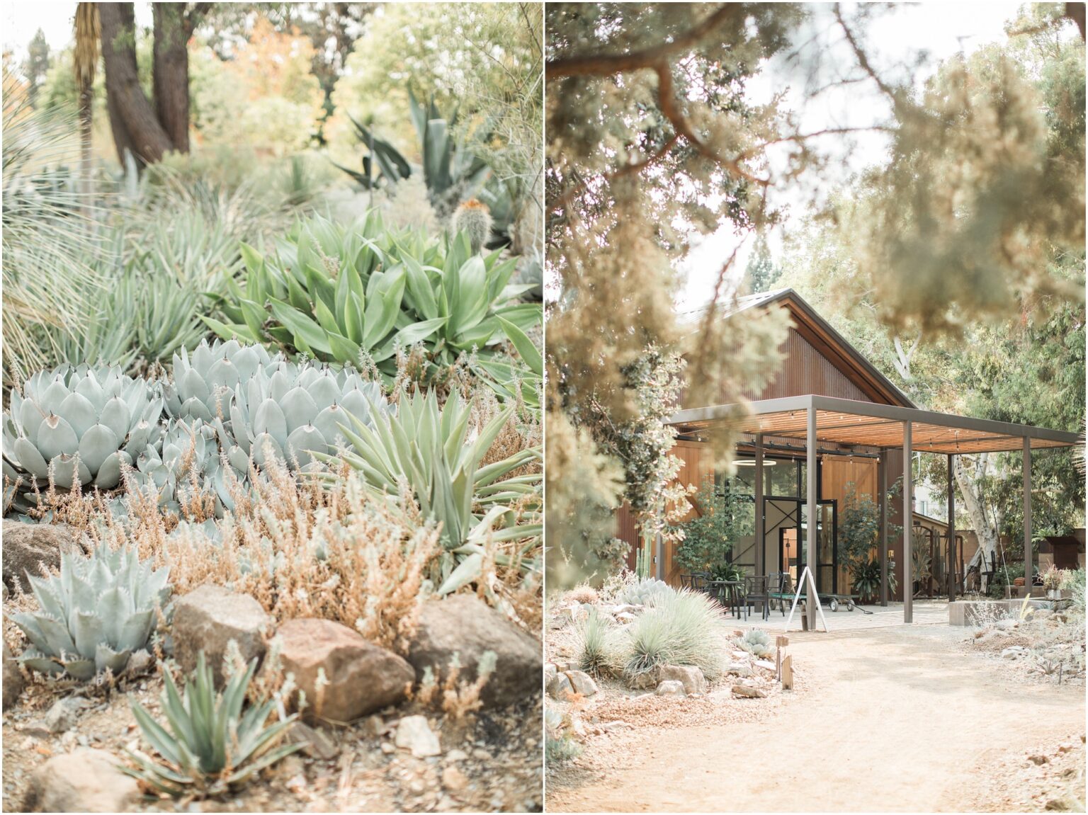 Ruth Bancroft Garden Wedding Katie   Adam Kelsey Combe Photography