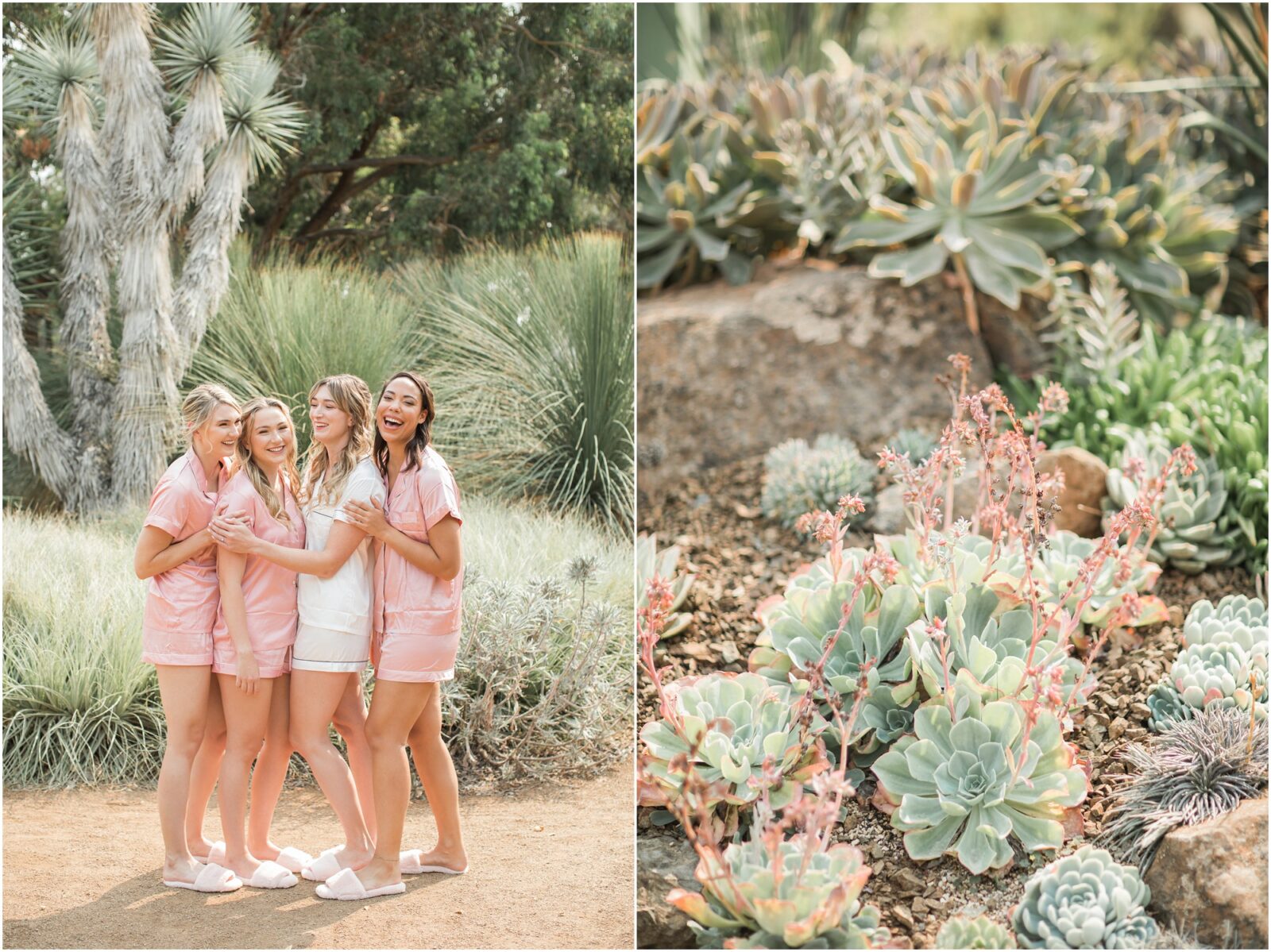 Ruth Bancroft Garden Wedding Katie   Adam Kelsey Combe Photography